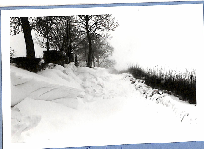 returnimage.cgi/10959/700