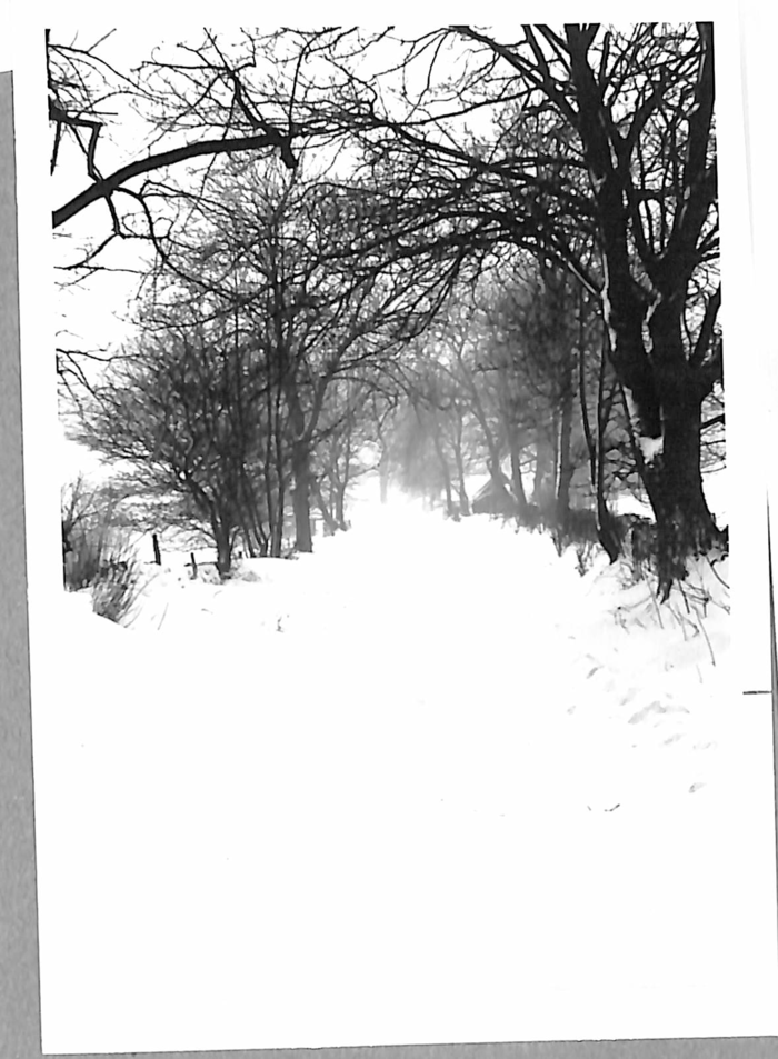 returnimage.cgi/10962/700