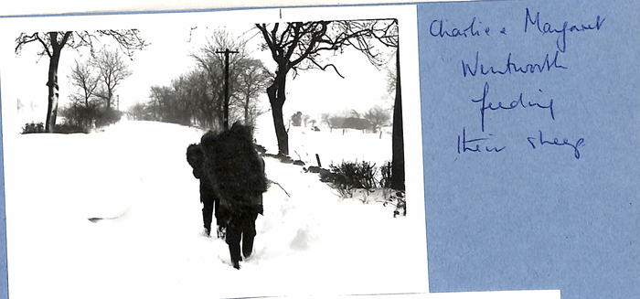 returnimage.cgi/10964/700