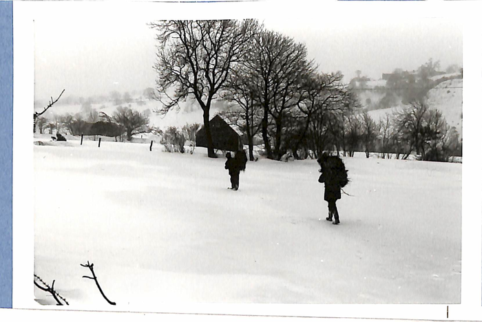 returnimage.cgi/10965/700