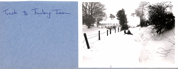 returnimage.cgi/10971/700