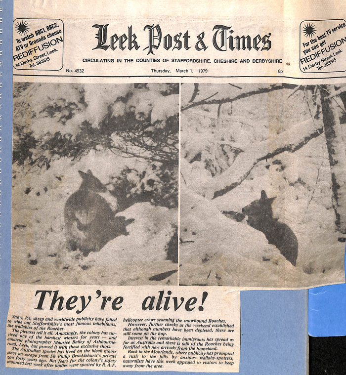 returnimage.cgi/10981/700