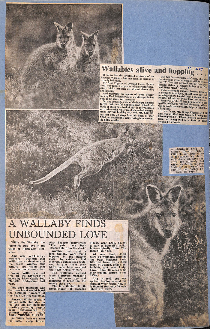 returnimage.cgi/10982/700