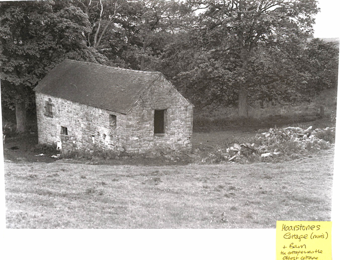 returnimage.cgi/11065/700