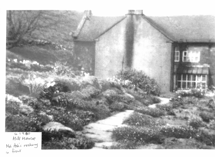 returnimage.cgi/11089/700