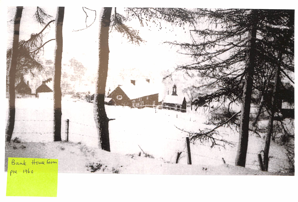 returnimage.cgi/11092/700