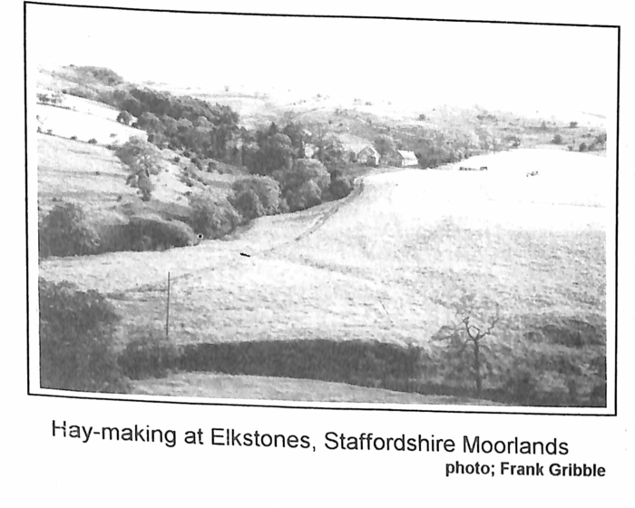 returnimage.cgi/11133/700