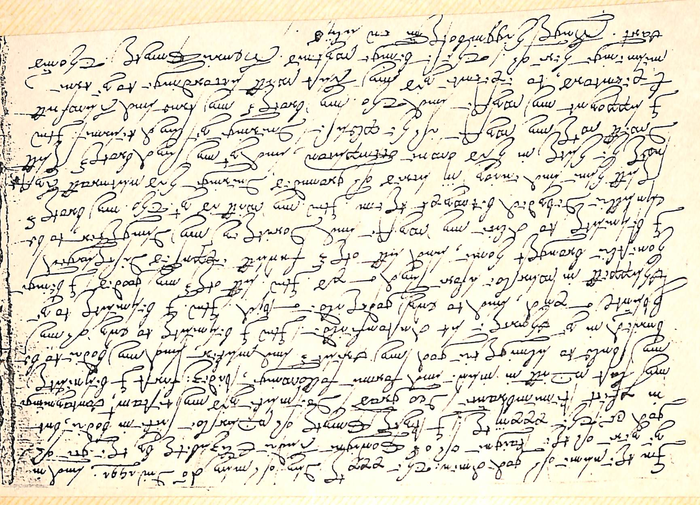 returnimage.cgi/11146/700