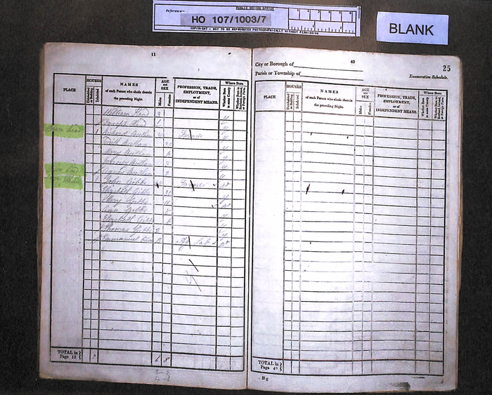 returnimage.cgi/11180/700