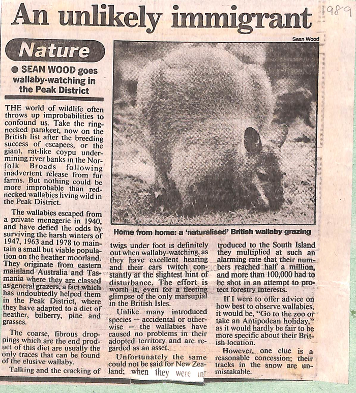 returnimage.cgi/11498/700