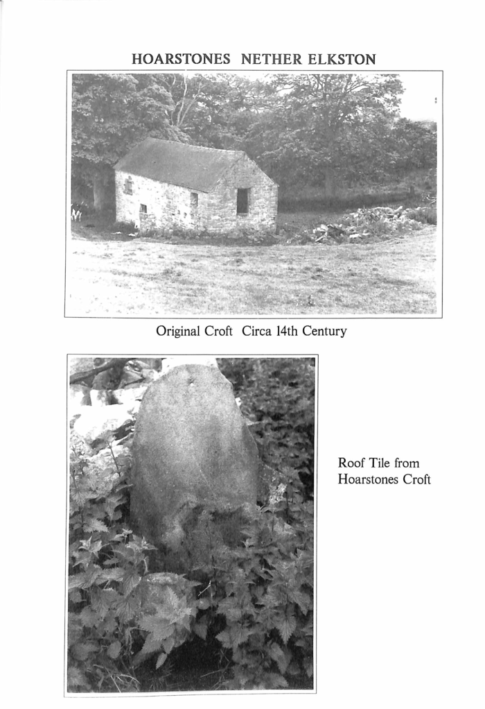 returnimage.cgi/12700/700