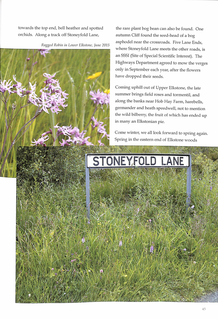 returnimage.cgi/12713/700