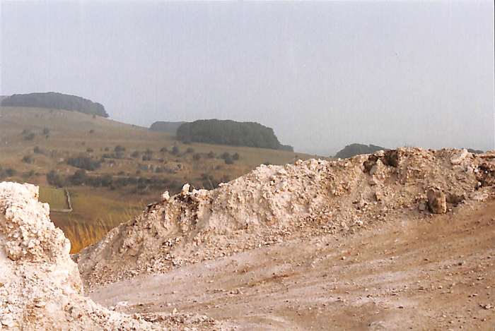 returnimage.cgi/12845/700