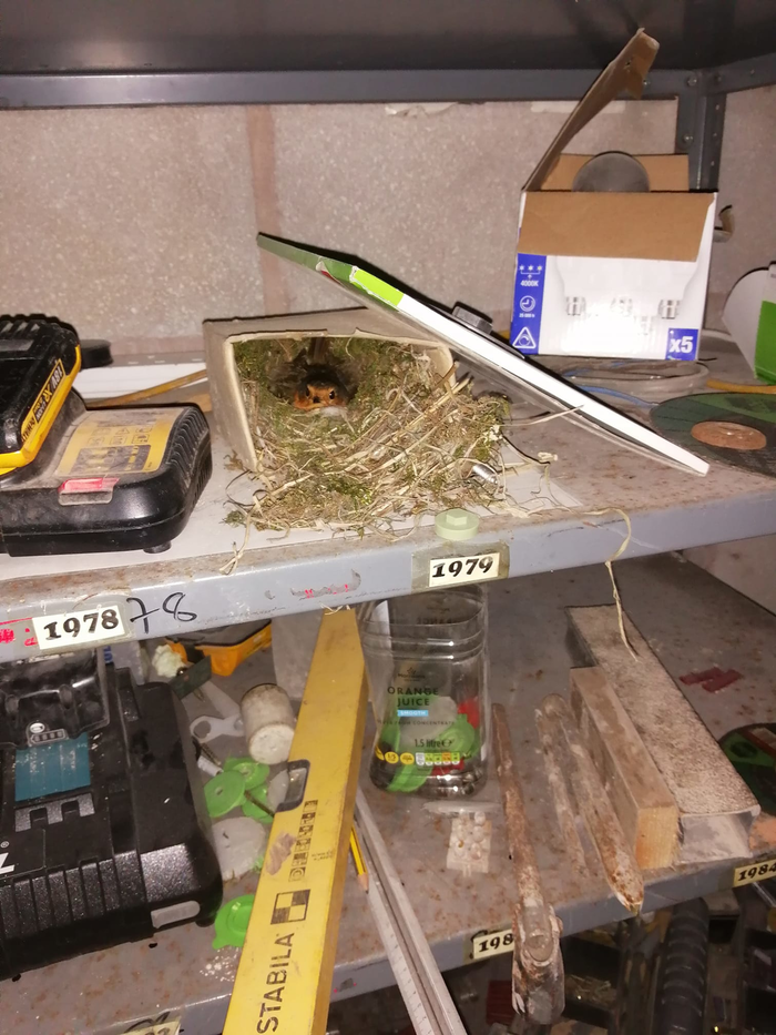 returnimage.cgi/14076/700