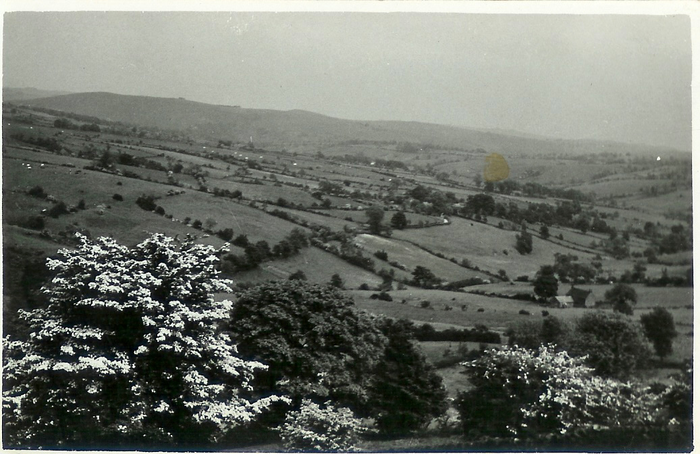 returnimage.cgi/14078/700