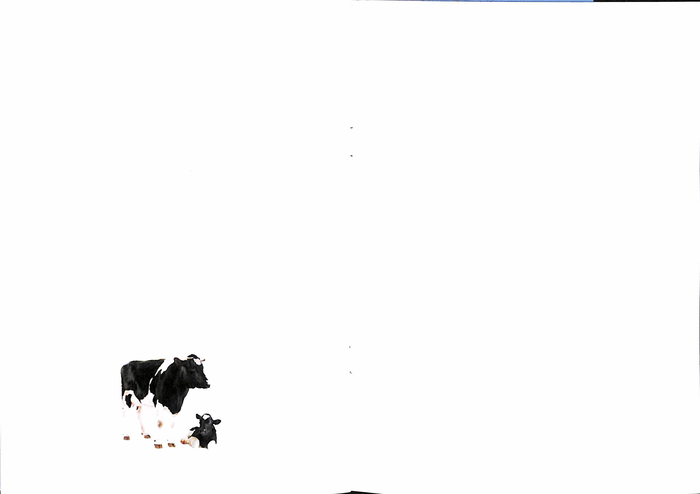 returnimage.cgi/14151/700