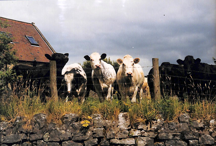 returnimage.cgi/14727/700