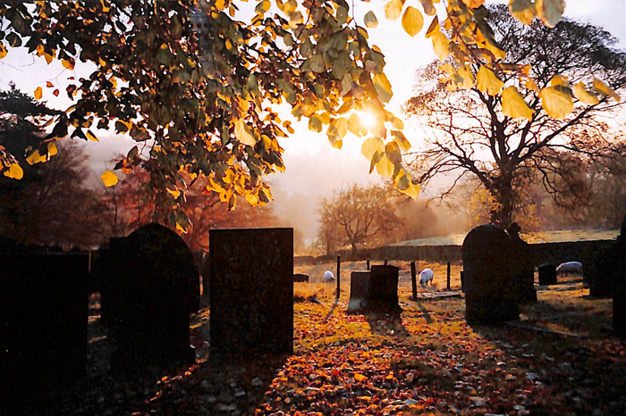 returnimage.cgi/14728/700