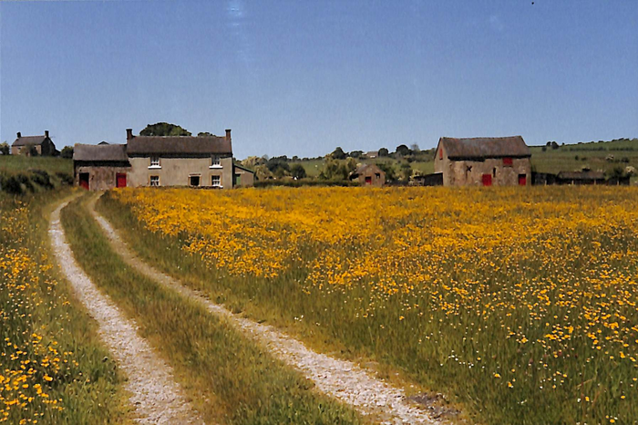 returnimage.cgi/14731/700