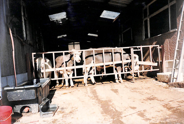 returnimage.cgi/14734/700