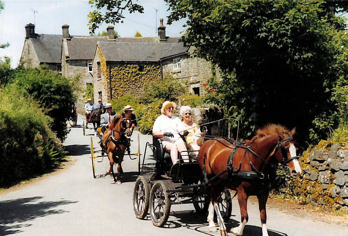 returnimage.cgi/14767/700