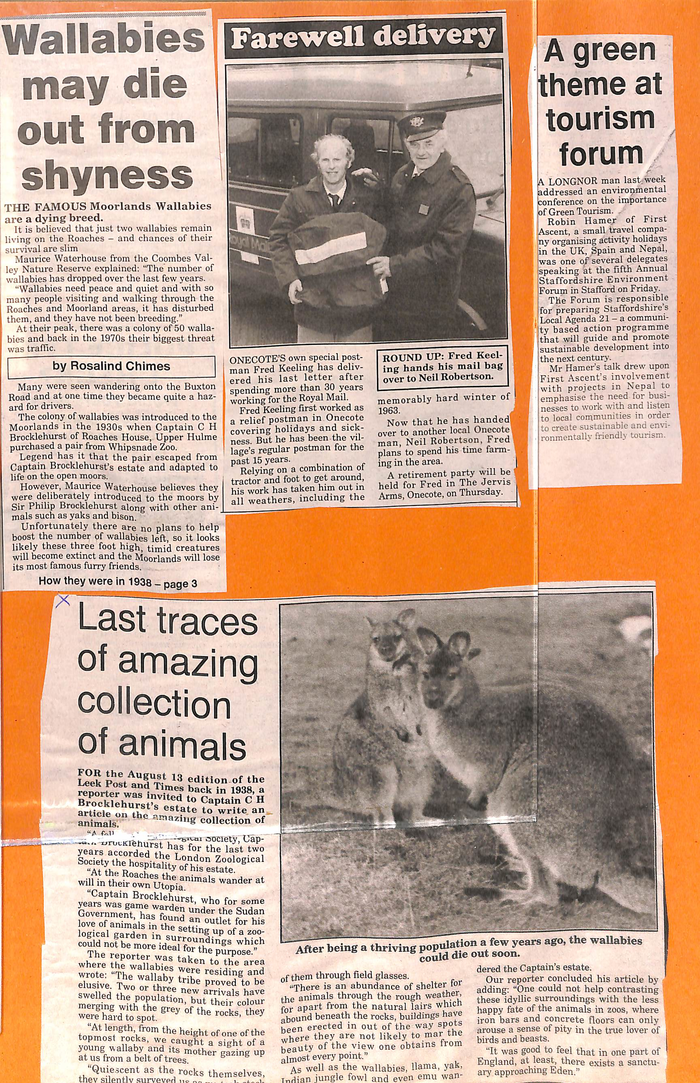 returnimage.cgi/14847/700