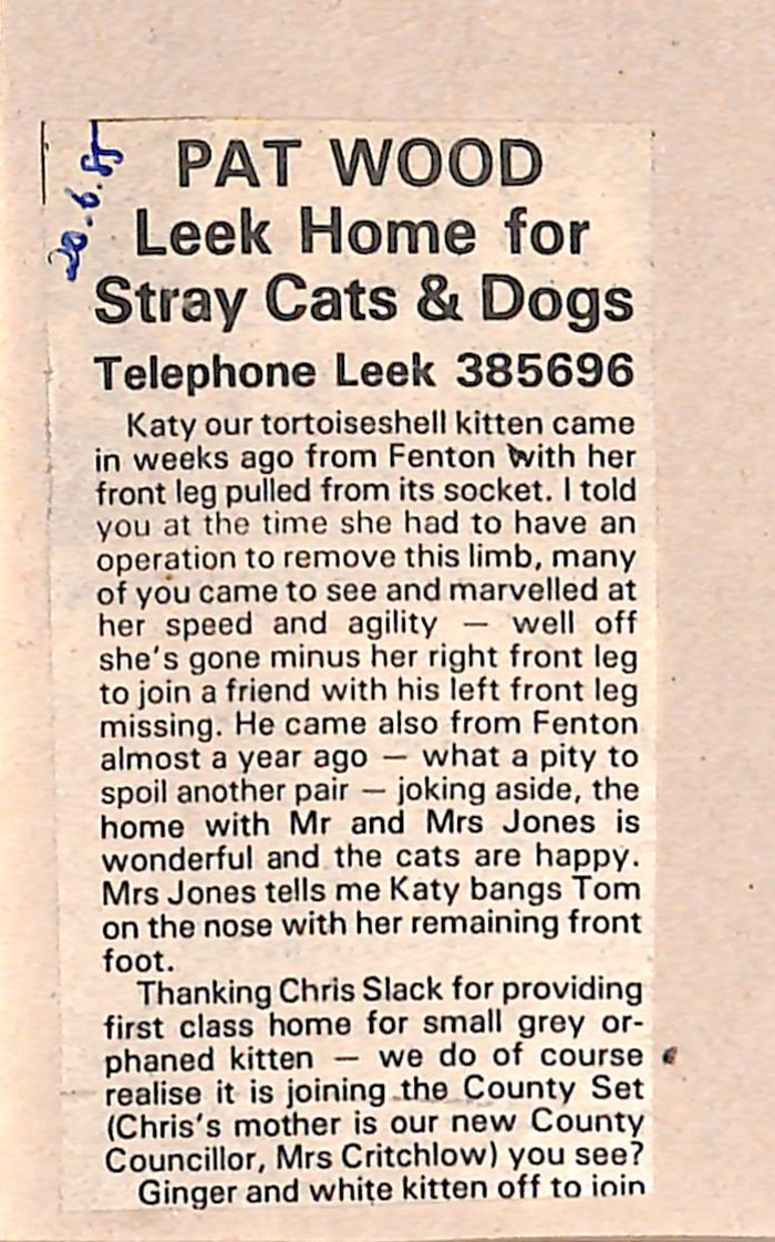 returnimage.cgi/15260/700