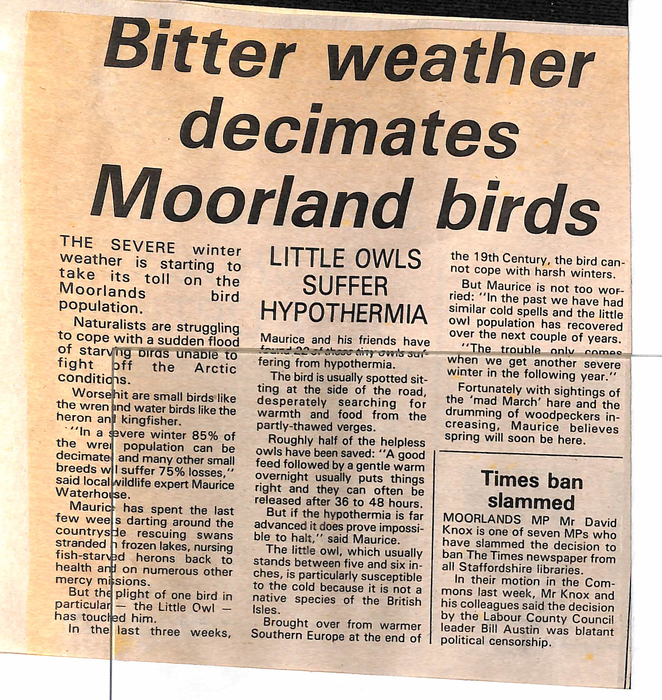 returnimage.cgi/15284/700