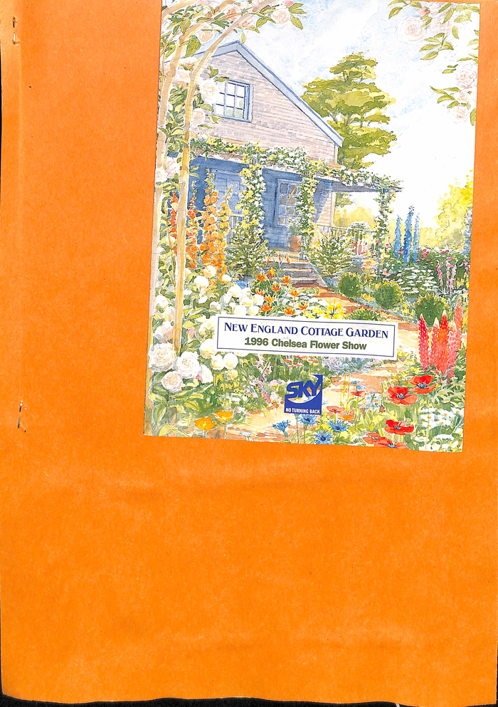 returnimage.cgi/15300/700