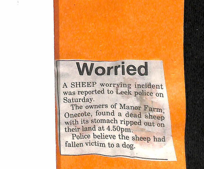 returnimage.cgi/15315/700