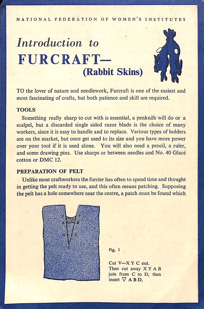 returnimage.cgi/16475/700