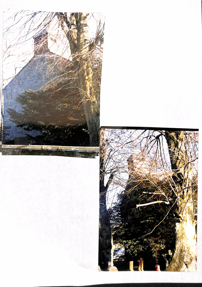 returnimage.cgi/16530/700